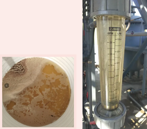 1029-1-3.png 1029-1-3.png